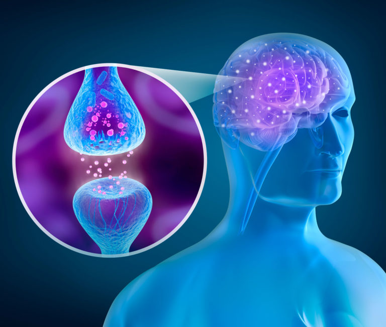 What-is-the-Endocannabinoid-System